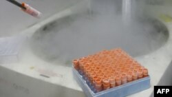 Zamrznuti embrioni u laboratoriji, arhiva (MAURICIO LIMA / AFP)