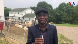 Yadda wasu ma’aikatan VOA Hausa suka yi yankan Layya a Amurka.