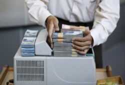 Seorang teller menumpuk Rupiah Indonesia di konter mata uang di dalam money changer di Jakarta, 4 Juni 2015. (Foto: Reuters/Nyimas Laula)