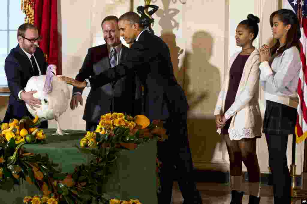 美国总统奥巴马赦免火鸡，他的两个女儿在场（2014年11月26日）
