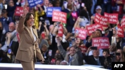 美国副总统、2024 年民主党总统候选人卡玛拉·哈里斯(Kamala Harris)在芝加哥市联合中心举行的民主党全国代表大会(DNC)第一天登台。(2024年8月19日)