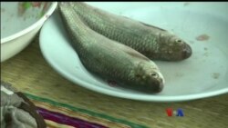 ထိုင်းဟင်းလျာနဲ့ ကင်ဆာအန္တရာယ်