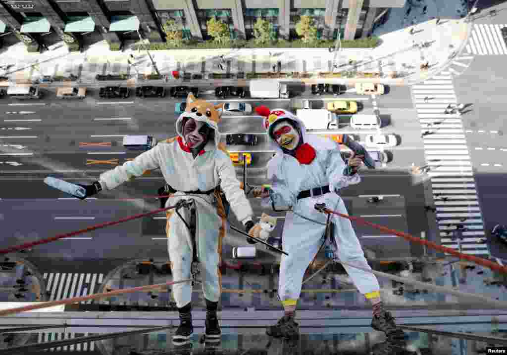 东京的窗户清洁工为酒店擦玻璃，一个打扮成鸡年的生肖动物，一个装扮成狗年的生肖动物（2017年12月20日）。