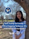 Tarif Trump terhadap 3 Mitra Dagang Terbesar AS, Indonesia Terdampak