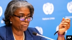 美国驻联合国大使琳达·托马斯-格林菲尔德(2021年3月1日资料照片)