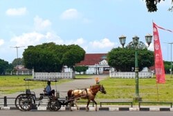 Sebuah andong wisata melintas di Alun-Alun Utara Yogyakarta. (Foto: VOA/Nurhadi Sucahyo)