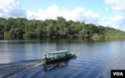 Undang-undang lingkungan yang lebih ketat di Brazil diharapkan mengurangi penggundulan hutan di Amazon.