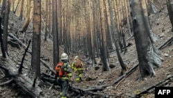 This photo taken and released by the Fire and Disaster Management Agency shows firefighters walking amongst burnt trees as they battle a wildfire in Ofunato city of Iwate Prefecture, Japan.