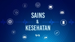 Australia Uji Coba Drone Penyebar Serbuk Sari