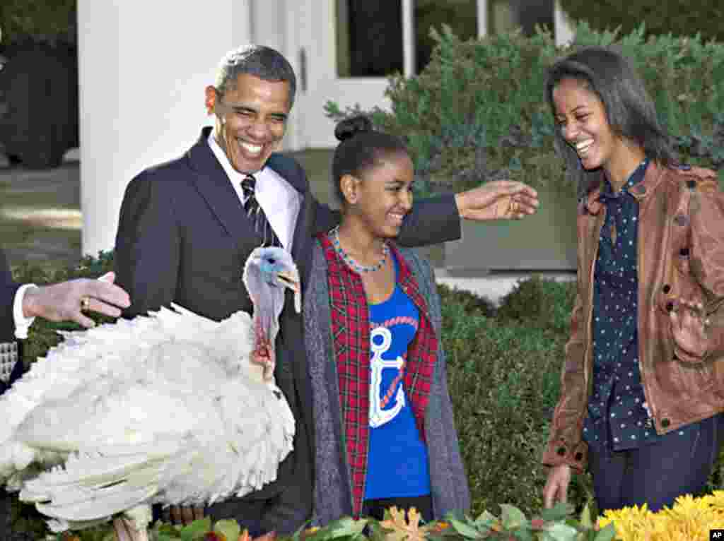 2012年11月21日,奥巴马总统在两个女儿的陪伴下,遵循感恩节传统,在白宫玫瑰园对幸运的火鸡实行了“总统大赦“。