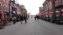 Susah Nggak Ya: Angkutan Troli atau Bus Wisata di Kota Tua Alexandria