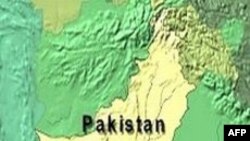 Состязания по конкуру и выездке экипажами. Аппервилль, штат Вирджиния