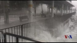 应对未来干旱 美科研人员培植耐旱作物