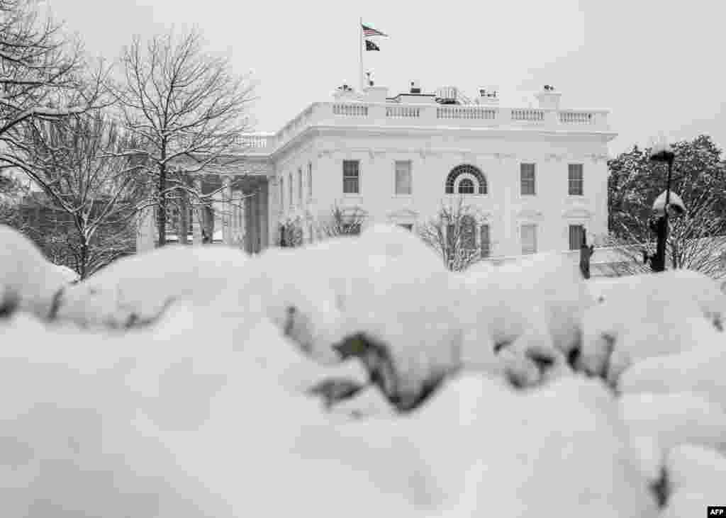 قصر سفید زیر لحاف برف، ۱۲ فبروری ۲۰۲۵