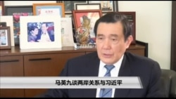 海峡论谈：马英九谈两岸关系与习近平及台湾2020总统大选