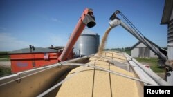 资料照：美国伊利诺伊州一个农庄正在往一辆卡车里装载大豆。（2018年7月6日）