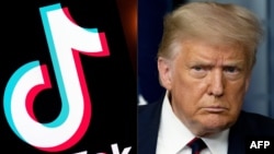 特朗普总统（右）与tiktok标识