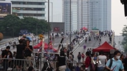 Hong Kong Democratic Party Founder Criticizes Beijing