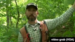 Šuma obezbeđuje čistu vodu, upija ugljen dioksid: Stjuart Hejl