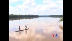 中非共和国全力打击盗猎者