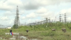 Việt Nam tái cân nhắc kế hoạch phát triển điện hạt nhân Việt Nam tái cân nhắc kế hoạch phát triển điện hạt nhân