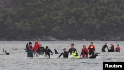 Upaya penyelamatan paus yang terdampar di Macquarie Harbour, dekat Strahan, Tasmania, Australia, 22 September 2020. (Foto: AAP / The Advocate Pool, Brodie Weeding)

