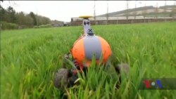 Як автоматизація може зменшити негативний вплив промислового сільського господарства на екологію. Відео