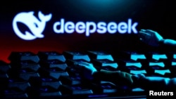 资料照片：DeepSeek标识。