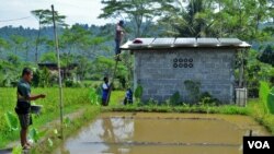 Petani ikan anggota kelompok tani 'Sembada Mina Mandiri' sedang membersihkan panel-panel surya dan memberi makan ikan (foto: Nurhadi Sucahyo).