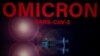 Gabungan Varian Omicron, Delta Persulit Pengambilan Keputusan