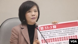 台湾立法院民进党党团干事长、立法委员叶宜津（美国之音杨明）