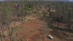 Camp Fire Angels - Penolong Korban Kebakaran Hutan