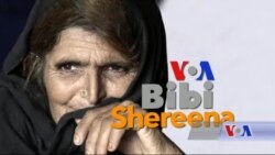 بي بي شیرینه – وي او اې ډيوه په ټیلې ویژن