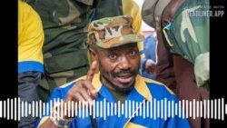 Eddy Kapend na basusu babimi kasi etumbu na bango elongwe te (Me Willy Wenga)