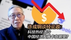 许成钢谈经论政：科技热经济冷，中国经济发展卡在哪里？
