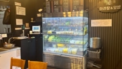 [탈북민의 세상보기] 한국에서의 첫 직장 생활에서부터 자영업까지 ‘탈북민 김고은 씨’