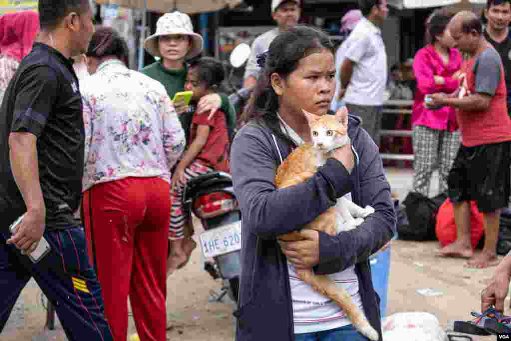 យុវតីម្នាក់កំពុងឈរឱបឆ្មានៅលើតំបន់ដីទួល បន្ទាប់ពីបានជម្លៀសពីតំបន់ទឹកជន់លិចនៅភូមិព្រែកជ្រៃ សង្កាត់ស្ពានថ្ម ខណ្ឌដង្កោ រាជធានីភ្នំពេញ ថ្ងៃទី១៥ ខែតុលា ឆ្នាំ២០២០។ (ទុំ ម្លិះ/វីអូអេ)