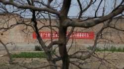 时事大家谈:雄安新区是科学决策,还是领导主观意志? 时事大家谈:雄安新区是科学决策,还是领导主观意志?