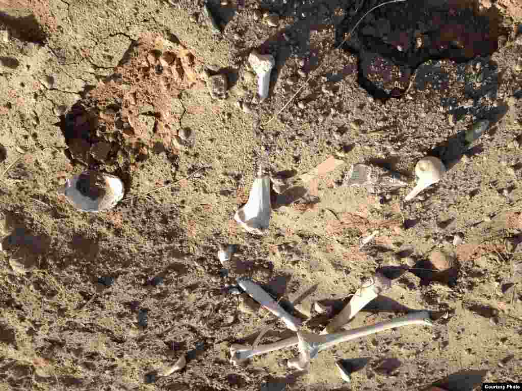 纪念碑被毁后抛出的遗骨(图片：艾晓明提供)