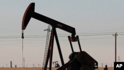 资料照片：2022年3月30日，美国新墨西哥州塔图姆看到的抽油机。（美联社照片）