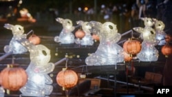 江苏省杭州西湖上迎接新春的兔子灯。（2023年1月11日）