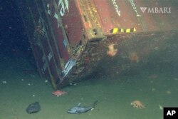 Fotografija Nacionalnog morskog utočišta u zaljevu Monterej pokazuje ribe i drugi živi svijet oko potonulog kontejnera na dubini od oko 1.280 metara, 12. decembra 2013. godine. (Foto: AP/MBARI)