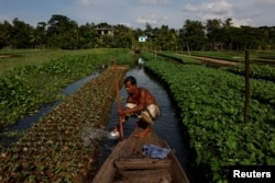Mohammad Ibrahim, 48, mengairi lahan pertanian apungnya, di distrik Pirojpur, Bangladesh, 16 Agustus 2022.