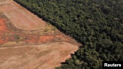 Deforestasi tampak merajalela di dekat hutan di perbatasan antara Amazonia dan Cerrado di Nova Xavantina, negara bagian Mato Grosso, Brazil, 28 Juli 2021. (Foto: REUTERS/Amanda Perobelli)
