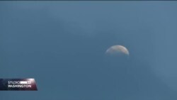 VUČJAK: MIGRANTI NA SMETLJIŠTU