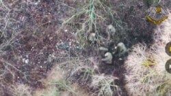 EU, 대러 추가 제재에 북한군 장성 2명 포함…영·호·뉴질랜드도 독자제재