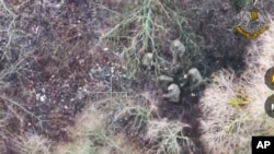 2025년 1월 11일 우크라이나 대통령실에서 우크라이나 군이 러시아 쿠르스크 지역에서 러시아 군에 파병된 북한군 2명을 포로로 잡는 모습이라면서 영상을 공개했다.