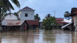 រូបឯកសារ៖ លំនៅដ្ឋាន​រងការ​លិចលង់​ដោយ​សារ​ទំនប់​អាង​ទឹក​ឈ្មោះ​ទំនប់ប្រទាក់​ក្រឡា​ ក្នុង​ឃុំ​កូនសត្វ​ ស្រុក​ទឹក​ឈូ​ ខេត្ត​កំពត​ បាន​បាក់​ ក្រោយ​ភ្លៀងធ្លាក់​ជាប់ៗ​គ្នា​ប្រហែល​ពីរ​សប្តាហ៍​មក​នេះ។ (ហ៊ុល រស្មី/វីអូអេ)