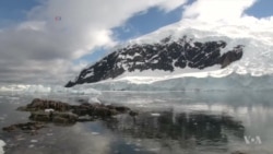 Greenpeace: Microplastic, Chemical Pollution Widespread in Antarctica