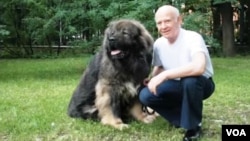 ინტერპოლის ხაზით ძებნილი ასლან აბაშიძე, რომელსაც საქართველოში მსჯავრდებულის სტატუსი აქვს, 2004 წლიდან, რუსეთს აფარებს თავს